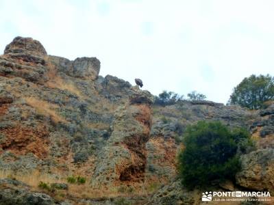 Hoces Río Duratón - Villa Sepúlveda; ruta por toledo trekking por europa